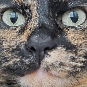 Meet your Posher, Tasha